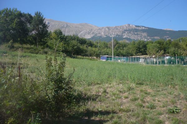 Valle D’ Ocre : Terreno edificabile di 2350 mq ca. di cui 1800 mq ca. agricoli e 550 mq ca. edificabili.